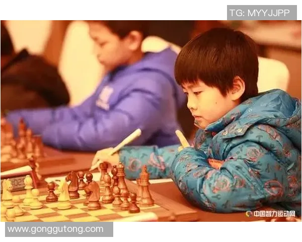 南京排球队拼搏历程揭秘努力与荣耀交织的杯赛之路