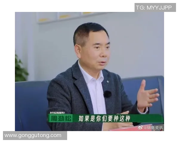 南京篮球队转型纪实：从辉煌到重生的奋斗之路