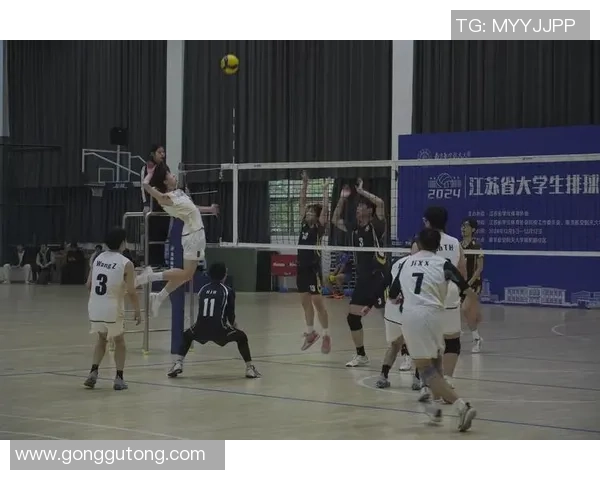 杭州排球队团队协作新模式引发热议助力竞技水平提升