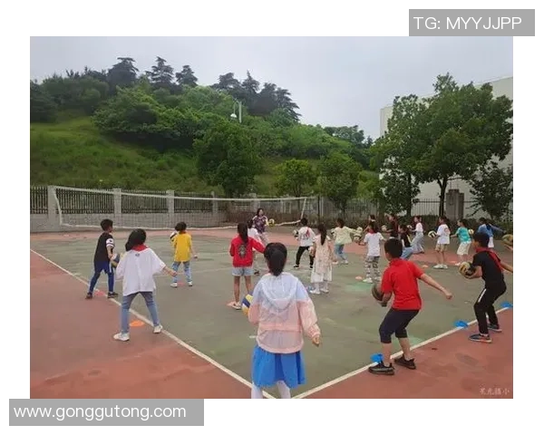 广州排球队心理素质排名第六揭示排球运动员心理素质的重要性与提升路径